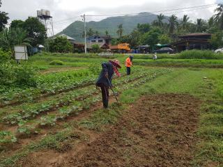 15. อบรมเชิงปฏิบัติการเพิ่มศักยภาพการปลูกพืชหมุนเวียนของเกษตรกร